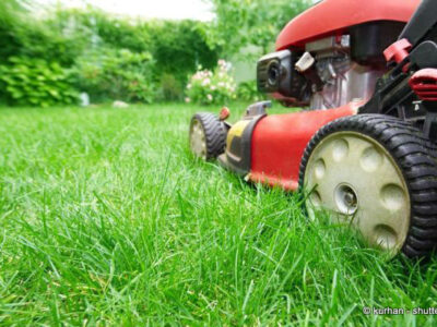 Rasen mähen rings um die Schule